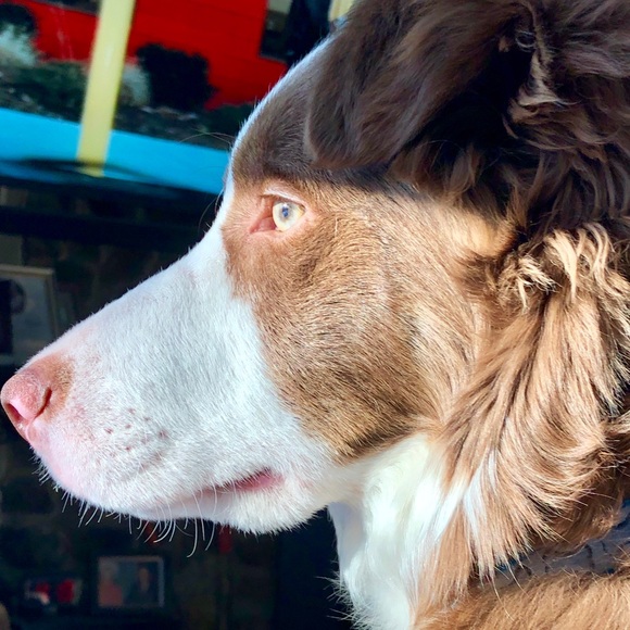 Meet your Posher, Mike - Picture 1 of 1